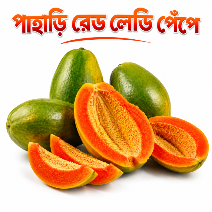 পাহাড়ি রেড লেডি পেঁপে | Pahari Red Lady Papaya