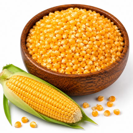 রাঙ্গামাটির পাহাড়ি  প্রিমিয়াম ভূট্টা  ১ কেজি | Premium Hill Corn 1 kg | পাহাড়ি বাজার — 2