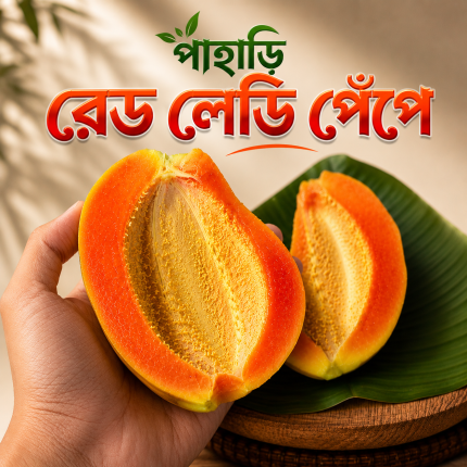 পাহাড়ি রেড লেডি পেঁপে | Pahari Red Lady Papaya — 2