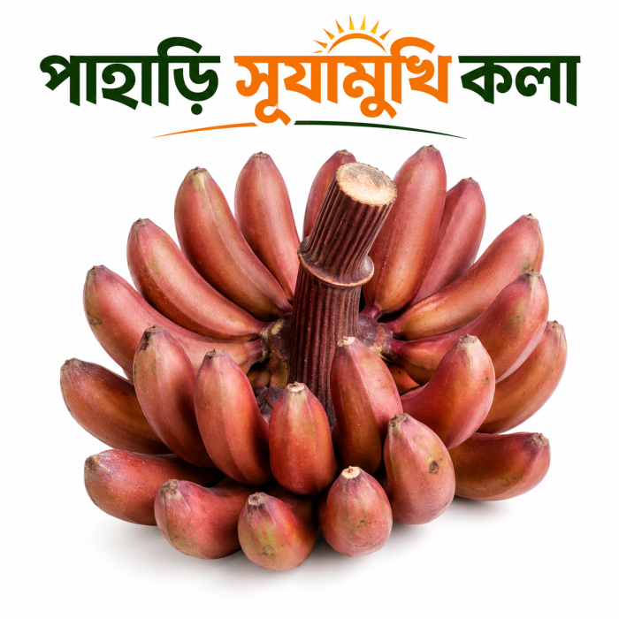 পাহাড়ি সূর্যমুখি কলা | Hill sunflower banana